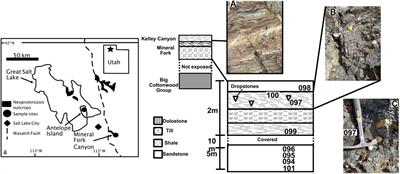 Combining Nitrogen Isotopes and Redox Proxies Strengthens Paleoenvironmental Interpretations: Examples From Neoproterozoic Snowball Earth Sediments